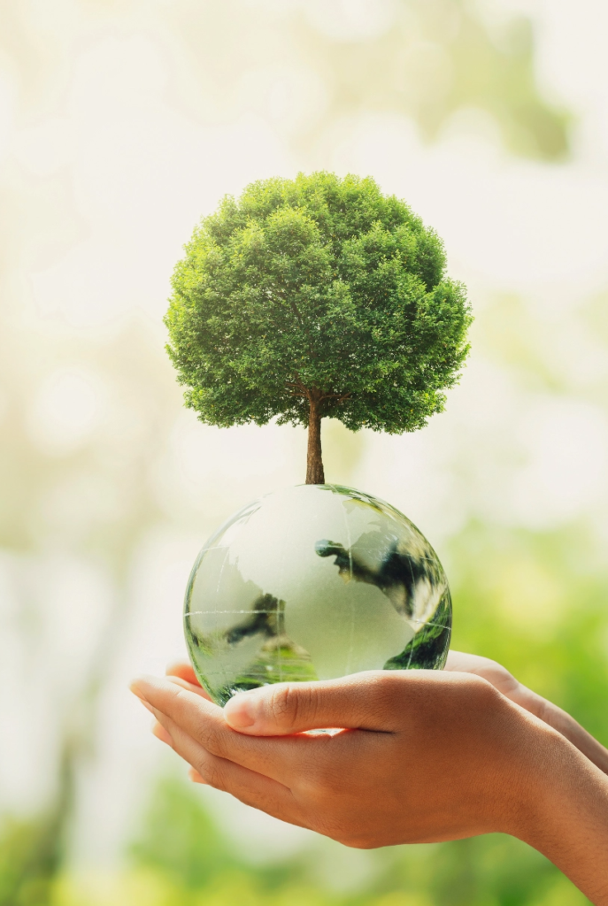 ecosister